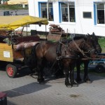 2013_ruegen_hiddensee_03