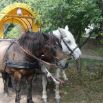 2013_ruegen_hiddensee_08