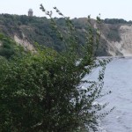 2013_ruegen_kap_arkona_15