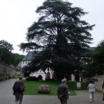 2014_kloster_eberbach_01