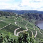 2014_veldenz_aussichtspunkt_mosel_06