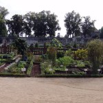 2014_seligenstadt_18