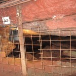 2015_oberbiel_grube_fortuna_19