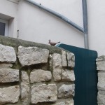 2015_oppenheim_stadtrundgang_32