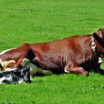 2016_suedtirol_kasern_20